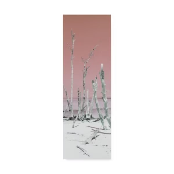 Philippe Hugonnard 'Wild White Sand Beach Pastel Red' Canvas Art, 16x47, Trademark Fine Art, Mfr#: PH01240-C1647GG
